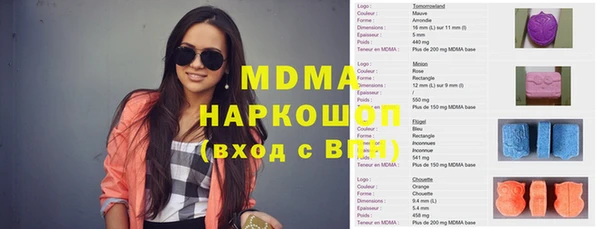 гашик Бородино