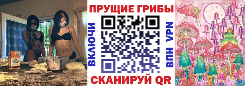 Купить  Ишим  Галлюциногенные грибы MAGIC MUSHROOMS 